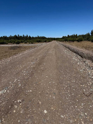 parcelas-de-5000m2-en-san-nicolas-nuble-(155660)-8