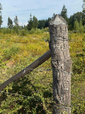 -13