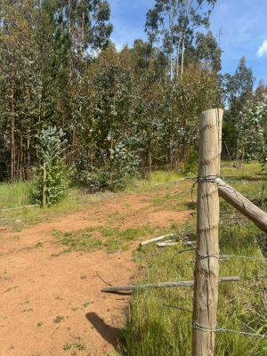 parcela-en-cancha-montero-florida-(139899)-7