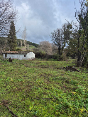 parcelas-en-los-angeles-sector-picul-(123694)-5