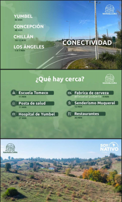 parcelas-en-pulperia-yumbel-con-credito-(103640)-5