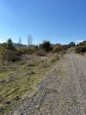 parcelas-en-pulperia-yumbel-con-credito-(103640)-9