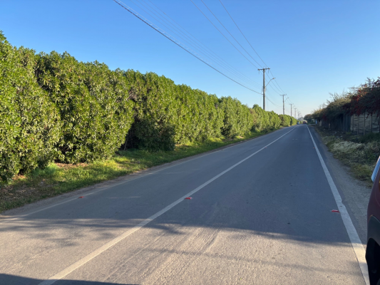 parcela-5000-m²-en-quillota-con-quincho,-banos-7