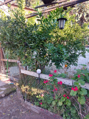venta-de-casa-en-san-ramon-3d-3b-8