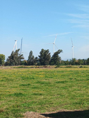 parcelas-estancia-vitoria-los-angeles-(91418)-6