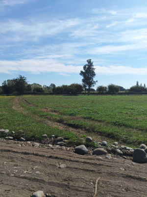 parcelas-estancia-vitoria-los-angeles-(91418)-9