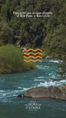 -12