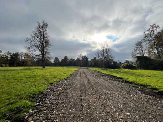 parcelas-en-osorno-puyehue-(72509)-3