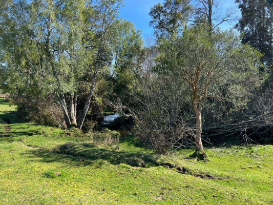 parcelas-en-osorno-puyehue-(72509)-8