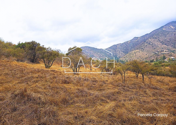 espectacular-vista-en-venta-parcela-carpay-la-r-7