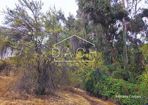 espectacular-vista-en-venta-parcela-carpay-la-r-9