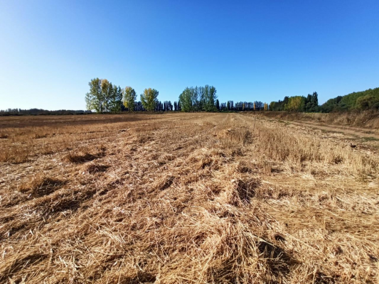 terreno-agricola,-propiedad-de-39,7-ha-con-agua-3
