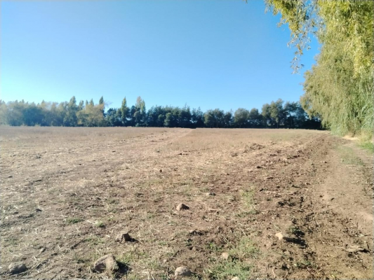 terreno-agricola,-propiedad-de-39,7-ha-con-agua-6