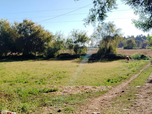 terreno-agricola,-propiedad-de-39,7-ha-con-agua-7