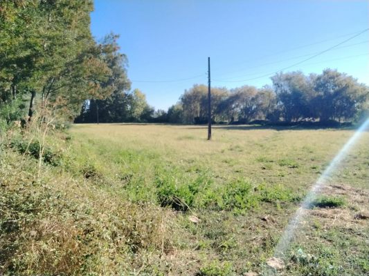 terreno-agricola,-propiedad-de-39,7-ha-con-agua-8