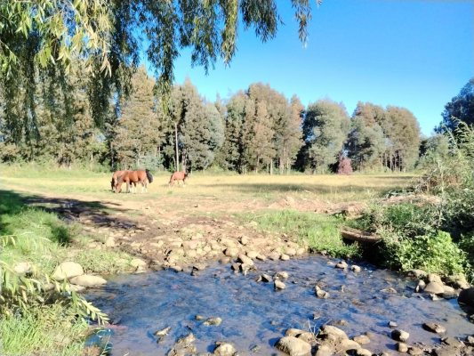 terreno-agricola,-propiedad-de-39,7-ha-con-agua-9