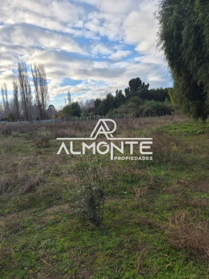 venta-terreno-sector-huacamala-quillon-4