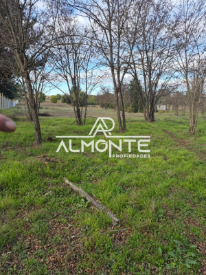 venta-terreno-sector-huacamala-quillon-5