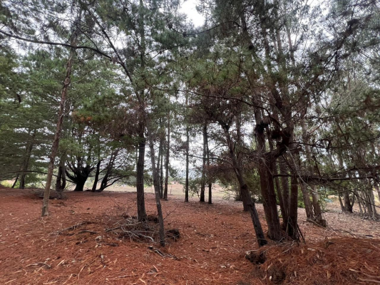 paraiso-en-la-costa-de-pichilemu-4