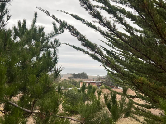 paraiso-en-la-costa-de-pichilemu-5