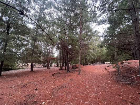 paraiso-en-la-costa-de-pichilemu-7