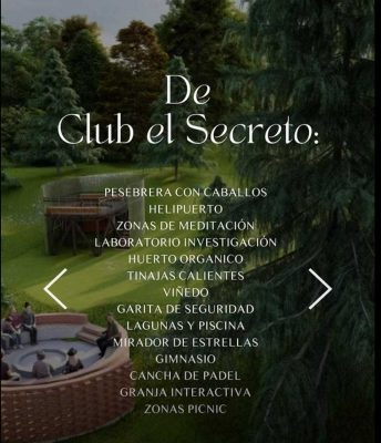 -15