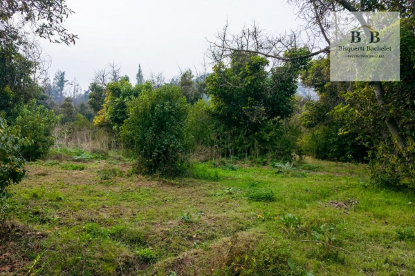 venta-parcela-isla-de-maipo-naltahua-3