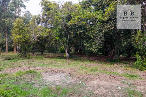 venta-parcela-isla-de-maipo-naltahua-4