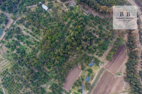 venta-parcela-isla-de-maipo-naltahua-5