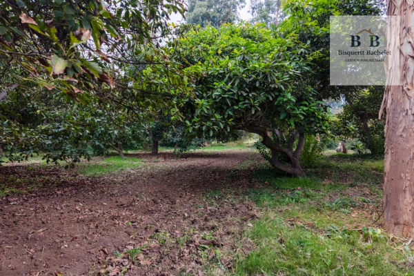 venta-parcela-isla-de-maipo-naltahua-6