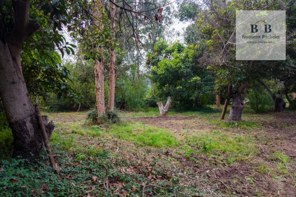 venta-parcela-isla-de-maipo-naltahua-7