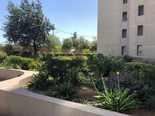 vendo-dptometro-macul/-rebajado-(164925)-3
