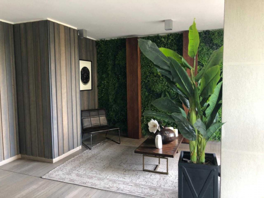 vendo-dptometro-macul/-rebajado-(164925)-7