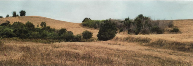 gran-campo-para-inversion-agricola-3