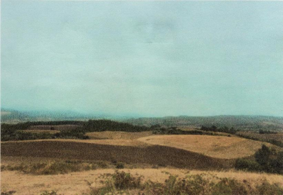gran-campo-para-inversion-agricola-7