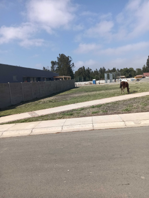 sector-las-gaviotas,-800-mts,-urbanizado-(154904)-3