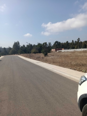 sector-las-gaviotas,-800-mts,-urbanizado-(154904)-4