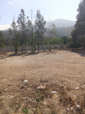 sector-las-gaviotas,-800-mts,-urbanizado-(154904)-6