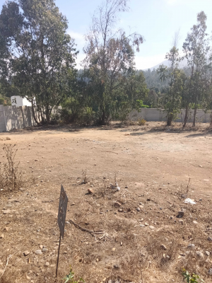 sector-las-gaviotas,-800-mts,-urbanizado-(154904)-8