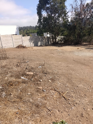 sector-las-gaviotas,-800-mts,-urbanizado-(154904)-9