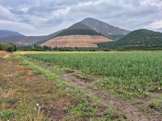 venta-agricola-llay-llay-3