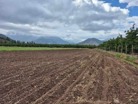 venta-agricola-llay-llay-8