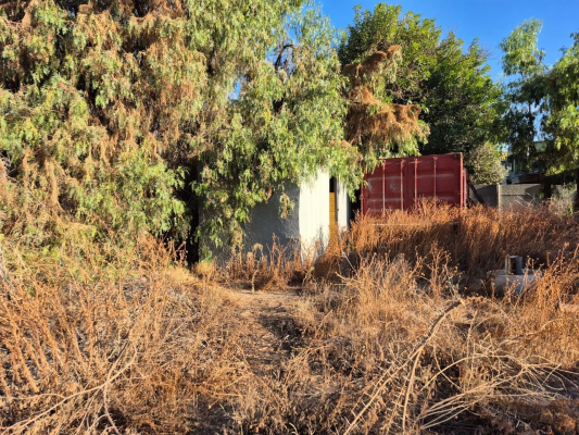 venta-terreno---sitio-1019mts-olmue-8