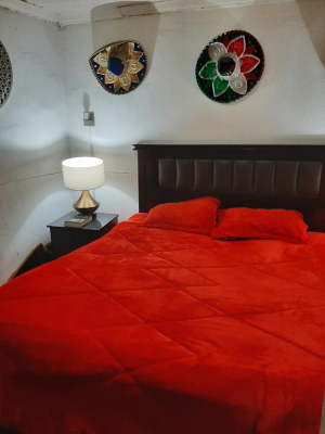 venta-casa-3hab-3ba-recoleta-5
