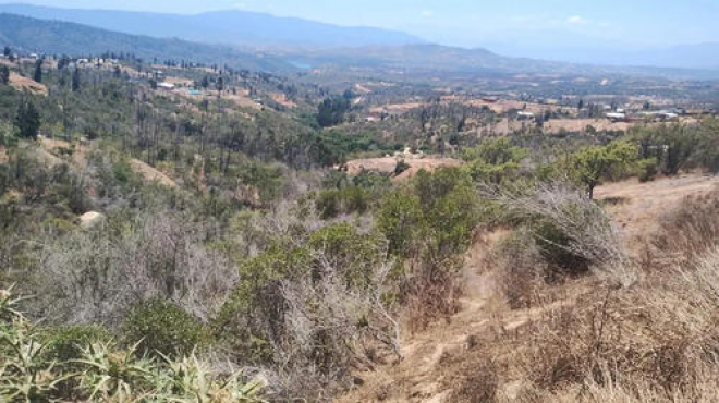 venta-parcela-5000mts-limache-7