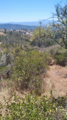 venta-parcela-5000mts-limache-9