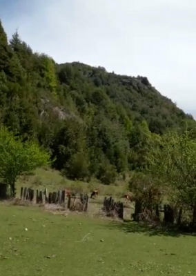 hermoso-campo-cercano-a-termas-de-san-sebastian-4