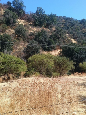 venta-de-parcela-8,5-hectareas-orilla-camino-en-8