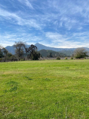 venta-de-parcelas-5000mts-planas,-ocoa,-hijuelas-3