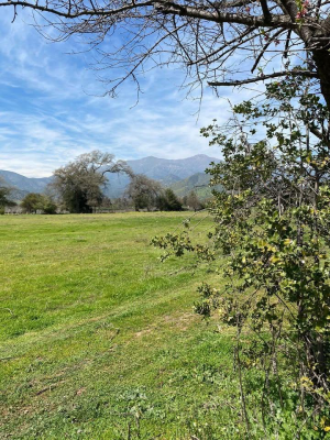 venta-de-parcelas-5000mts-planas,-ocoa,-hijuelas-6